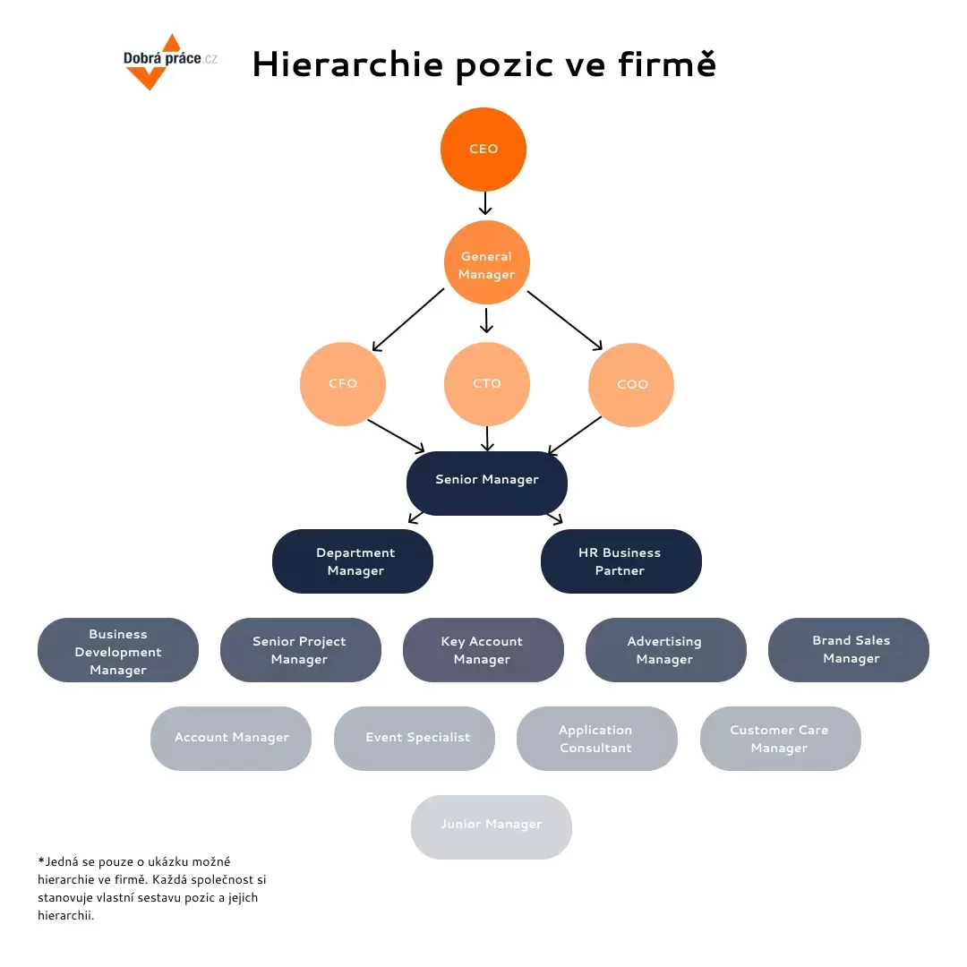Hierarchie pracovních pozic ve firmě | Dobraprace.cz