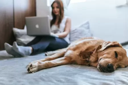 zdroj: unsplash.com, Nevhodné pracovní prostředí může vašemu home office uškodit!